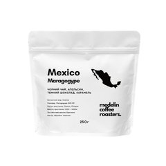 Mexico Maragogype